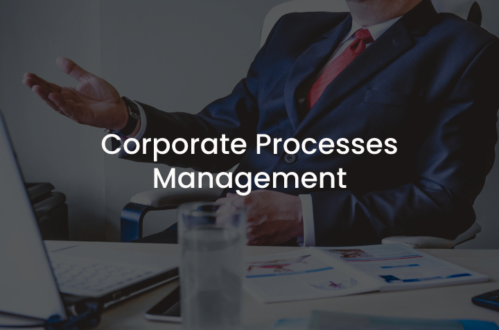 Corporate Processes Management