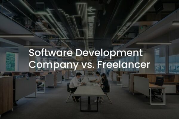 software development company vs freelancer